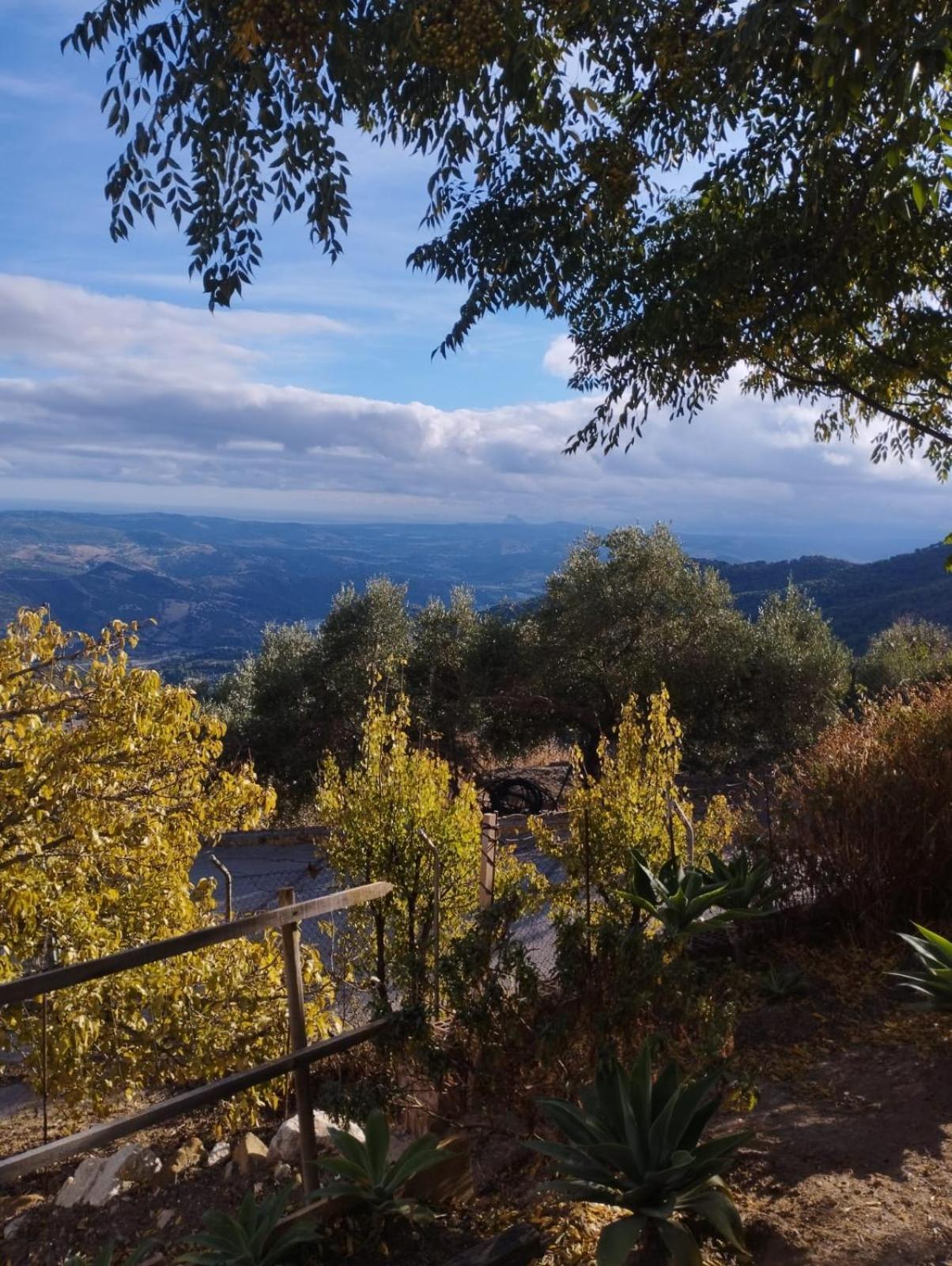 Hostal Brenaverde Gaucín Esterno foto